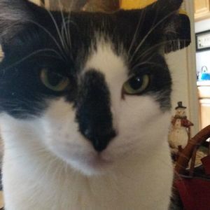 Meet your Posher, Mary beth